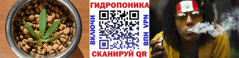 купить  цена  Ахтырский  Cannafood конопля 