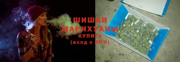 шишки Алексеевка