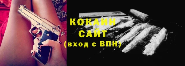 СК Алексин
