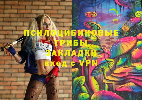 шишки Алексеевка