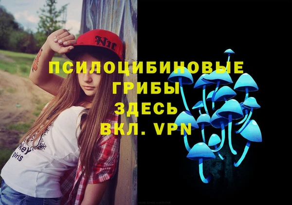 ешки Алзамай