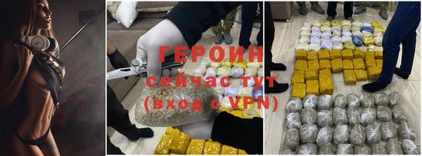 СК Алексин