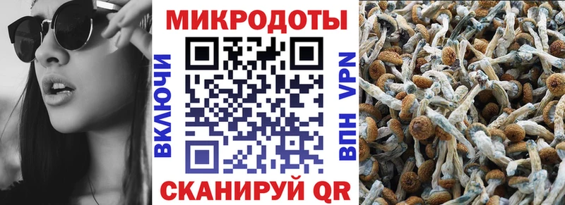 KRAKEN tor  Ахтырский  Псилоцибиновые грибы Cubensis 